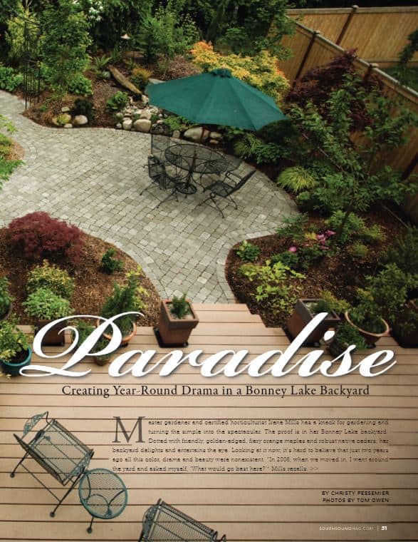 South Sound Magazine, Maple Paradise, Creating Year Round Drama in a Bonney Lake, WA Backyard